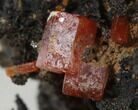 Red Vanadinite Crystals on Manganese Oxide - Morocco #38489-1